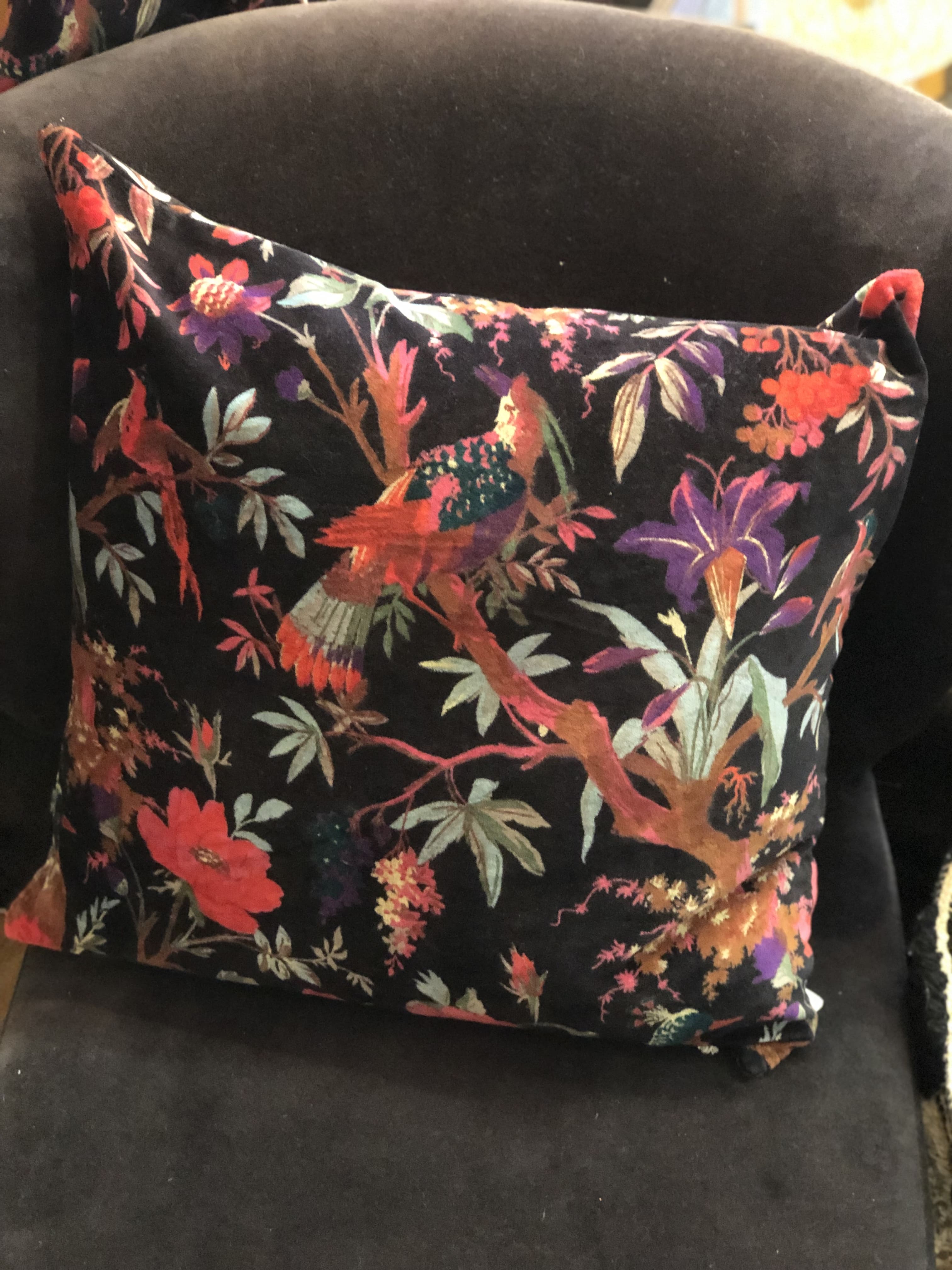 Paradise Print Cushion